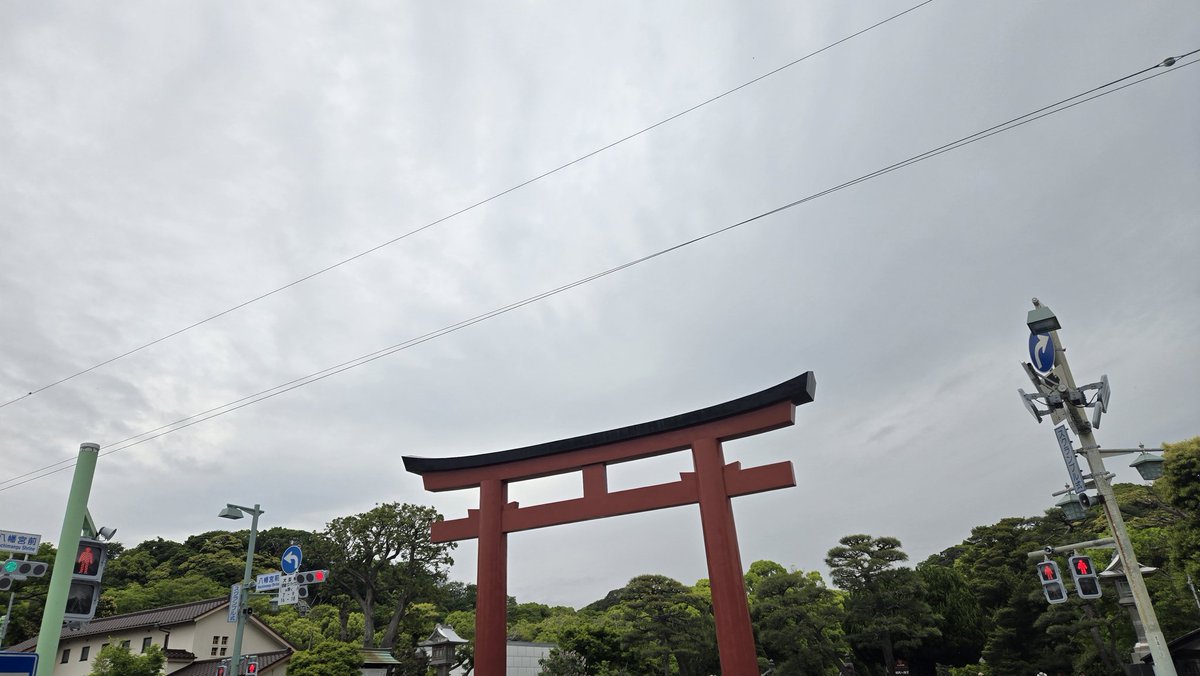 肉団子 tweet media