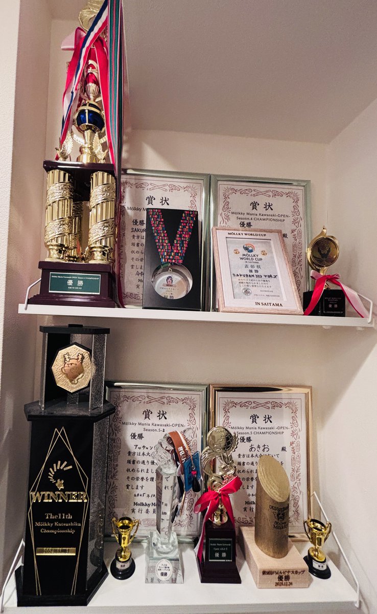 あきお@モルック世界4位 🇯🇵'24 (@Akio_Molkky) / Posts / X