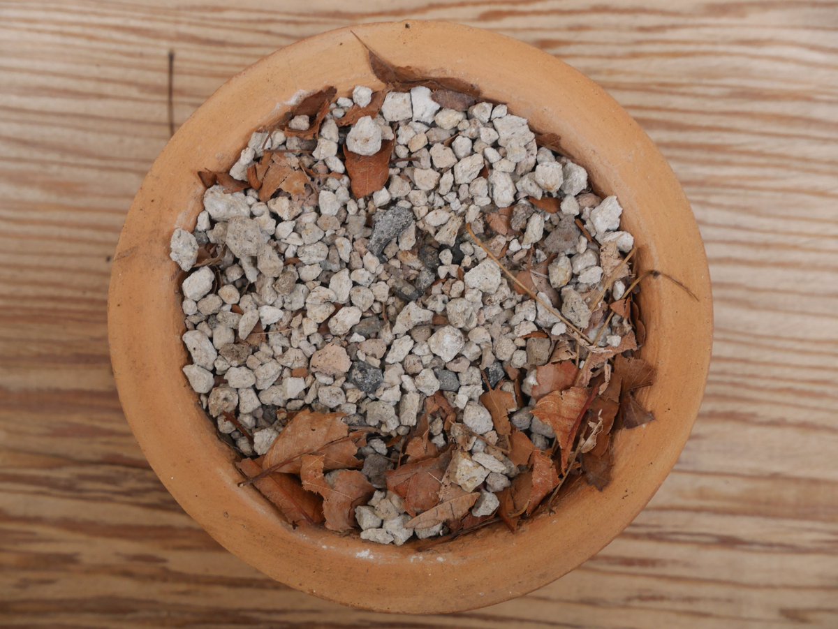 o_o_o_soil's tweet image. 2026.05.03
#soilformation #pedogenesis #cycle #EarthTime #ミニ地球