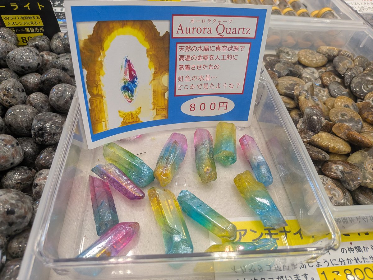 燈火 tweet media