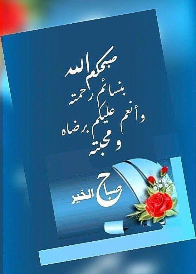 Hanan tweet media