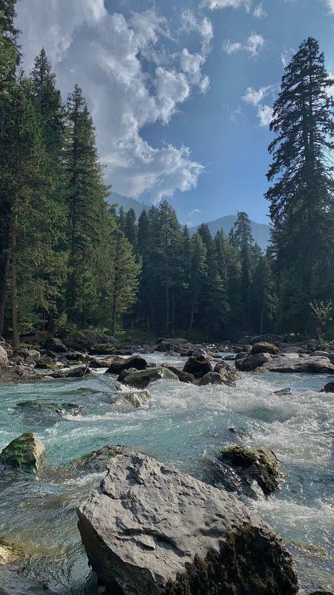 RajeshS69996207's tweet image. Serene beauty of jispa 😍

#Jispa 🏔️ 
#Himachalpradesh
#NatureBeauty
#Mountain 🌈