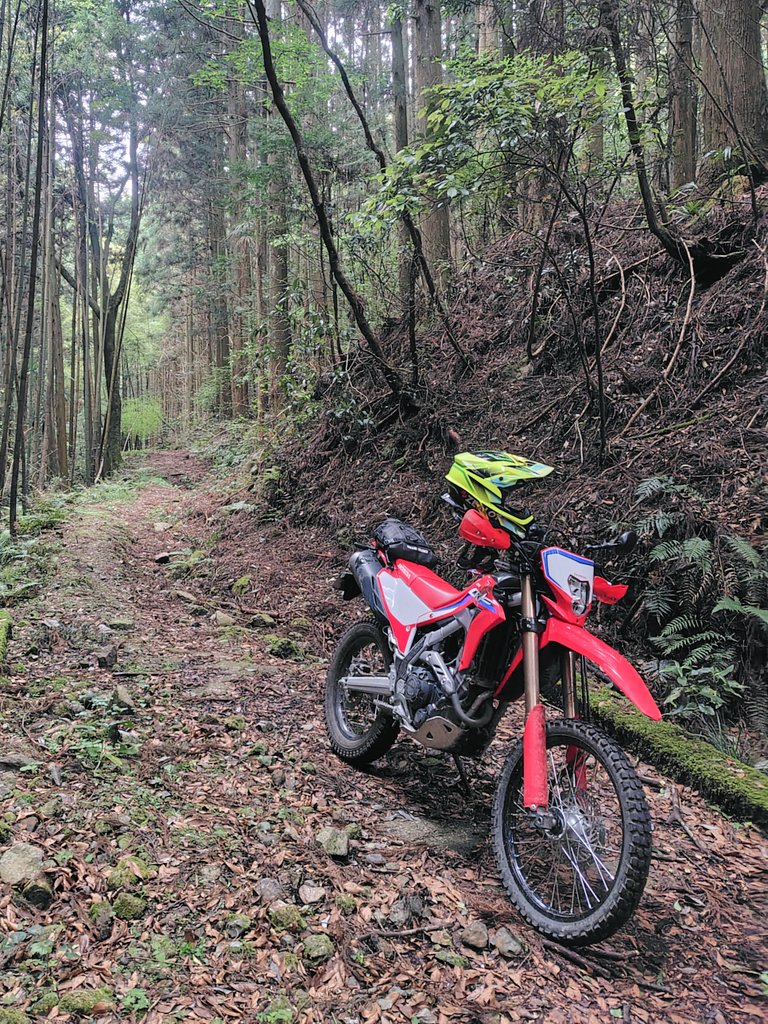 ユキナ tweet media