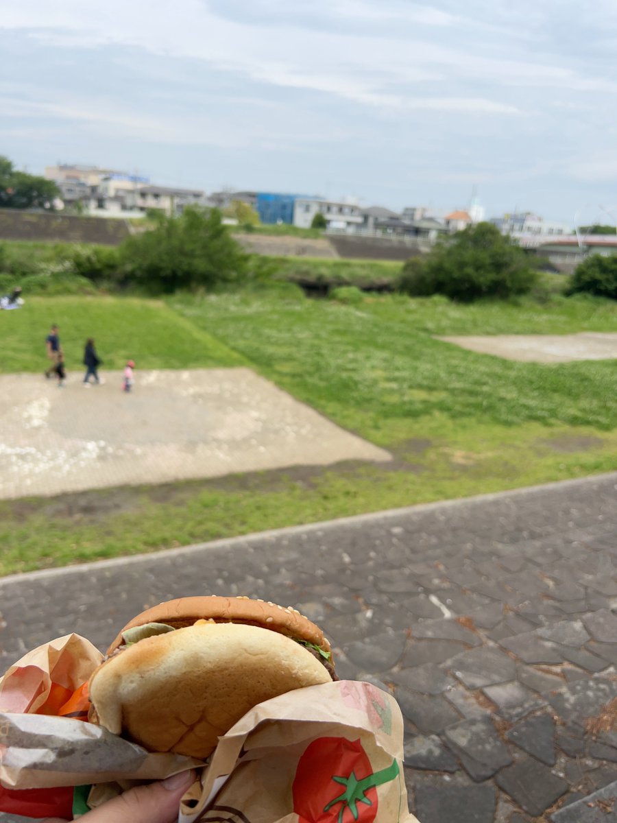 テラチオ tweet media