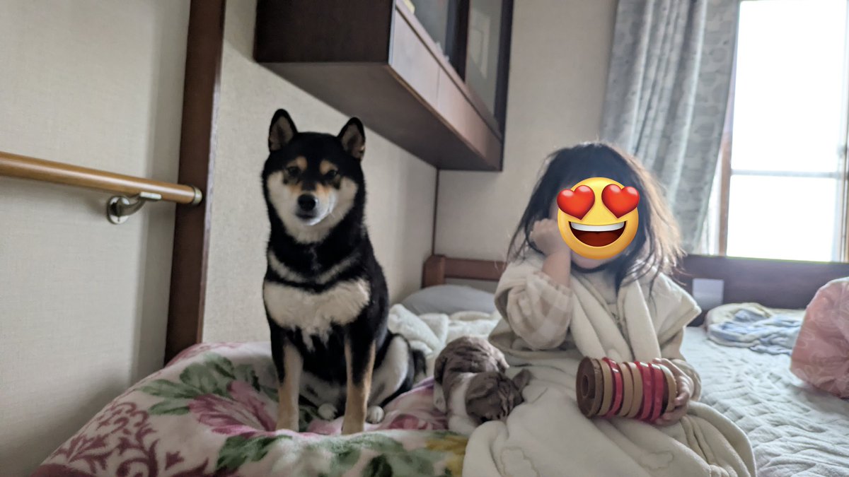 野風🐍 tweet media