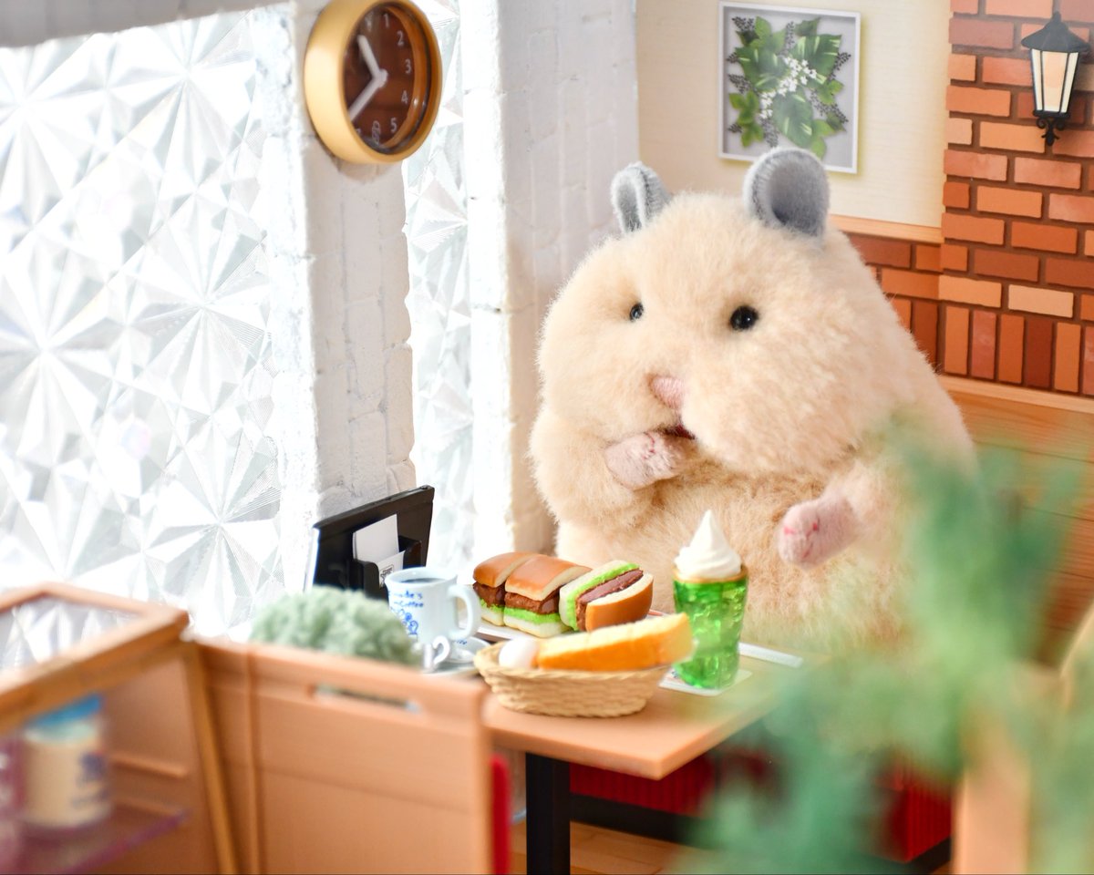 あんねこ (@anneko_anko) / Posts / X