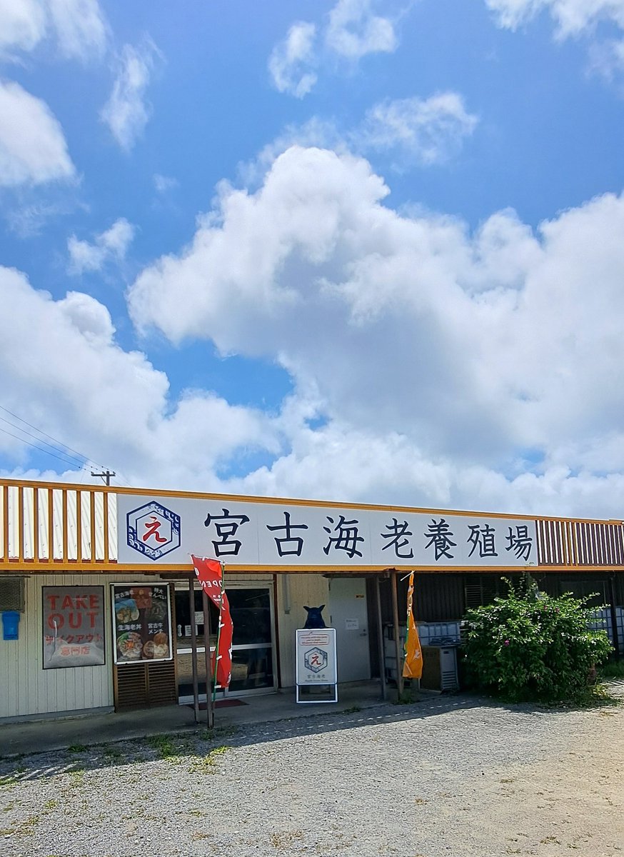 エミコ@宮古島 tweet media