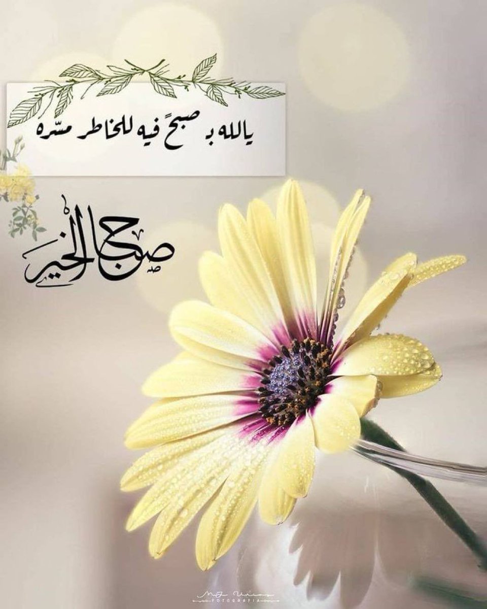 ‏آلَمِـهِرَهِ آلَعَ ـتُيّبّـيّهِ🇸🇦💕💍 tweet media