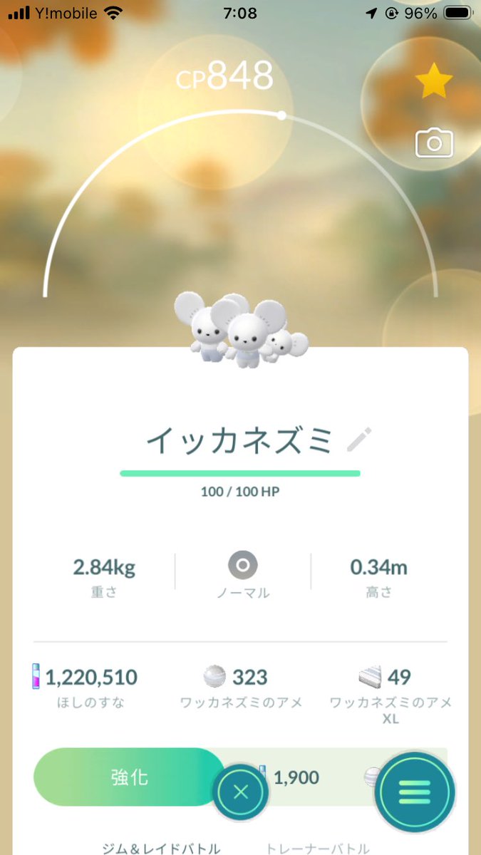 ruin_pkmn's tweet photo. ついに3びきかぞくの子が来た！！☺️ https://t.co/n61PSqEgl6