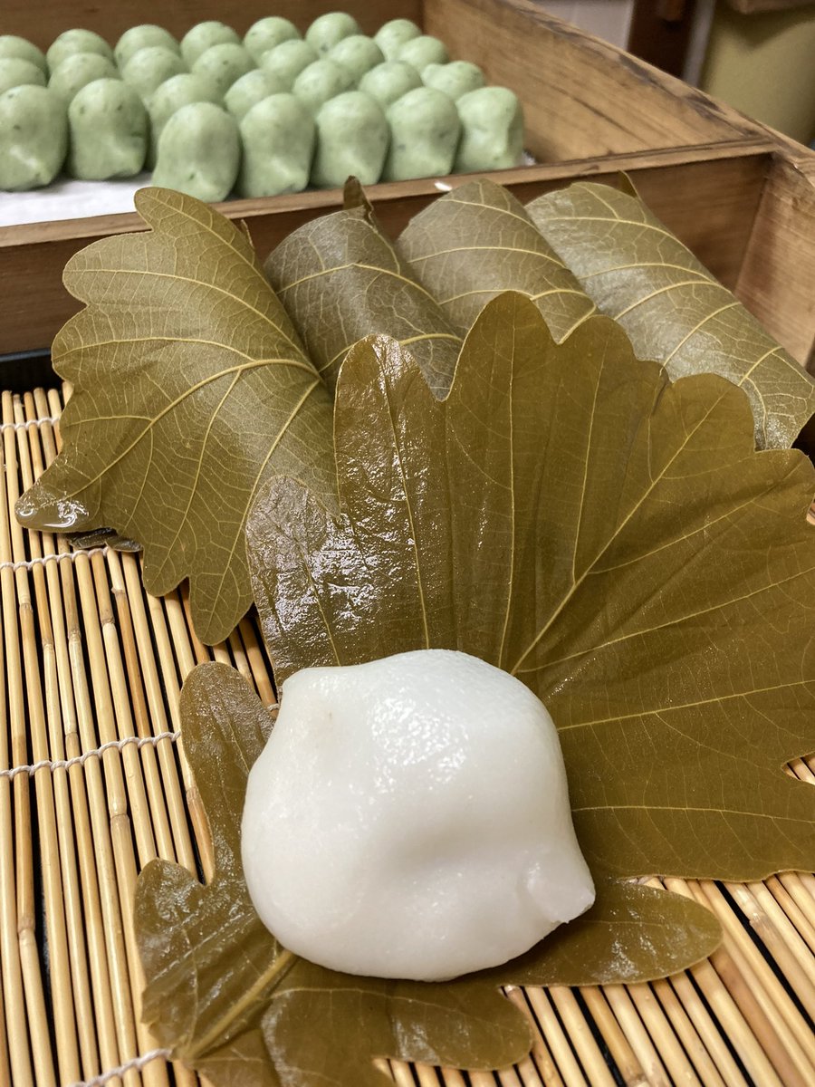 okiya1961's tweet photo. 皆様どんなGWをお過ごしですか？

楽しい団欒やお出かけのお供に
お節句を祝うおめでたい席に

🎏柏餅🎏は如何でしょうか？

柏の葉の香りは初夏の香り
季節を感じながらお召し上がり
いただけるお菓子をご用意して
ご来店をお待ちしています😊

ご予約はお早めに❤️

#柏餅
#味噌餡も美味しい https://t.co/9KDPB8Cztw