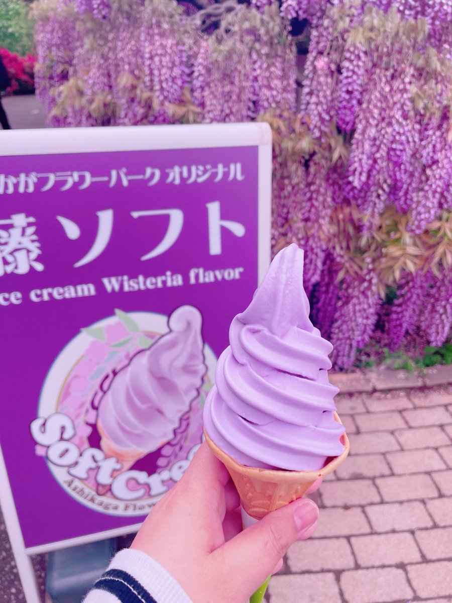 fuichan731's tweet photo. 以前から行きたかった、あしかがフラワーパークに行って来ました。
大きい藤の花は迫力があったし、黄色の藤を初めて見ました。
藤の花以外にも沢山の花が咲いていたし、念願の藤ソフトも食べれました。
春は色々花が咲くので楽しい✨

#あしかがフラワーパーク　#藤ソフト
#藤の花 https://t.co/F47Ccr9lhD