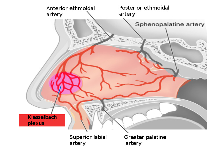 CardiovascularCorner tweet media
