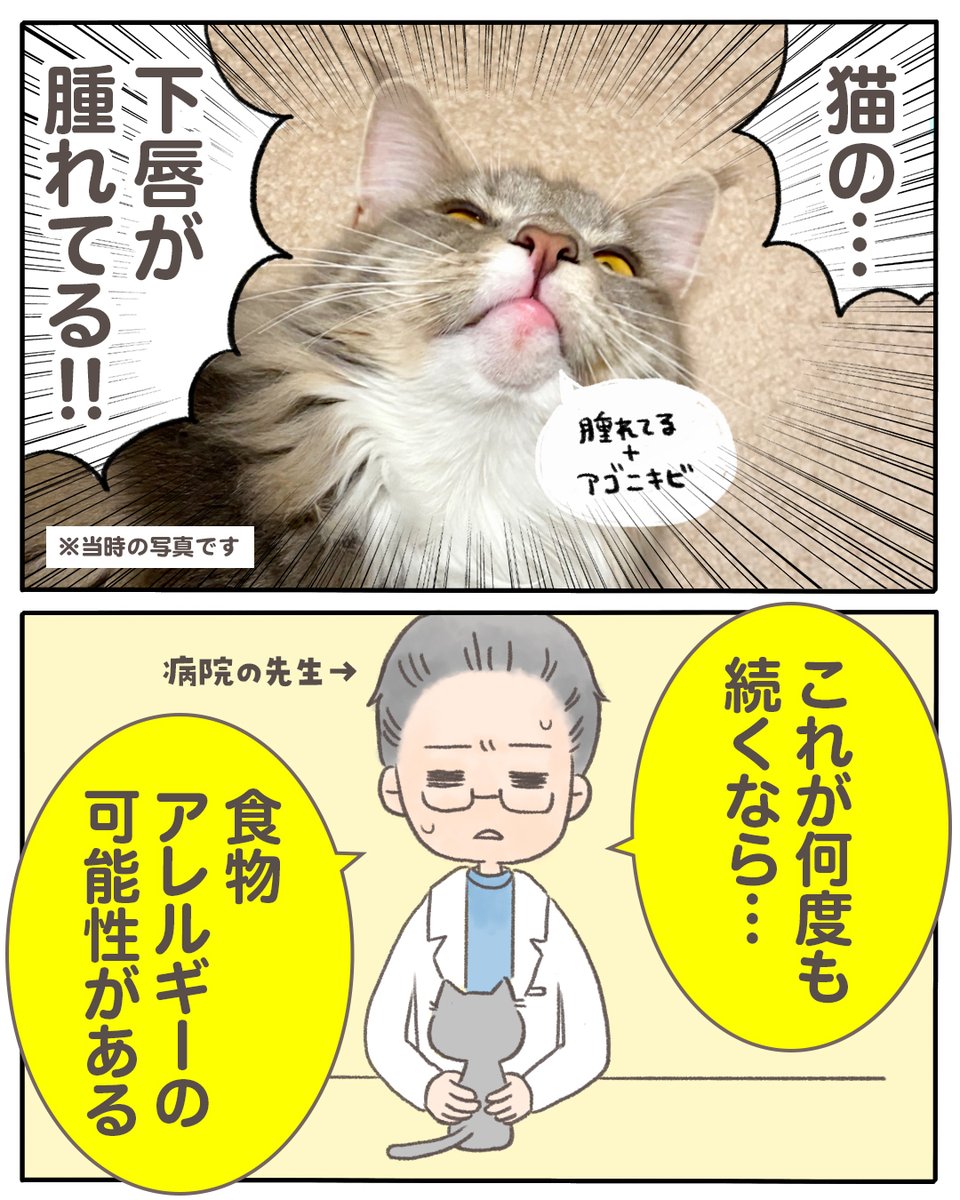 3cha（みちゃ） tweet media