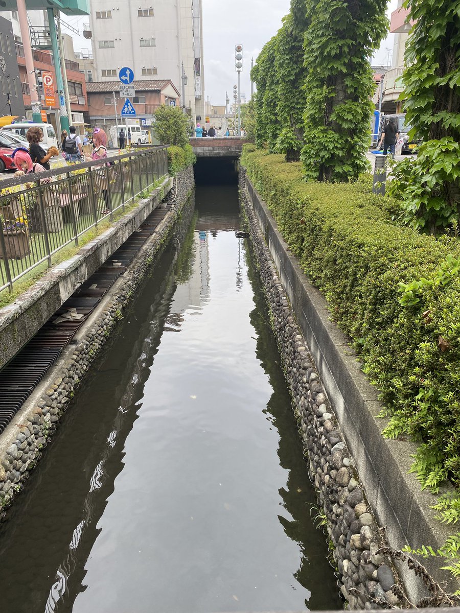 PeanutsD3s's tweet photo. 久しぶりのドブ川 https://t.co/Bw80lG1xGM