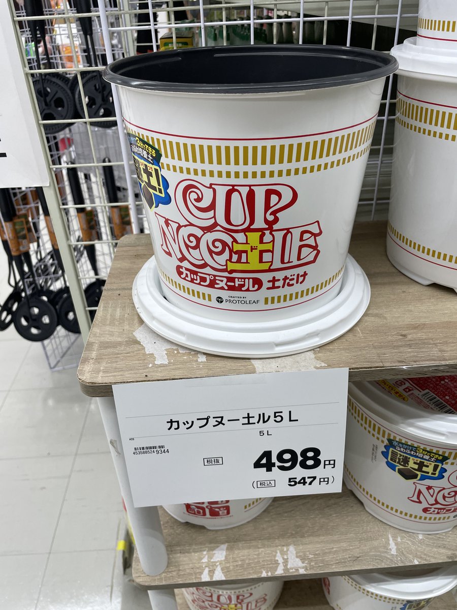 いぬ tweet media