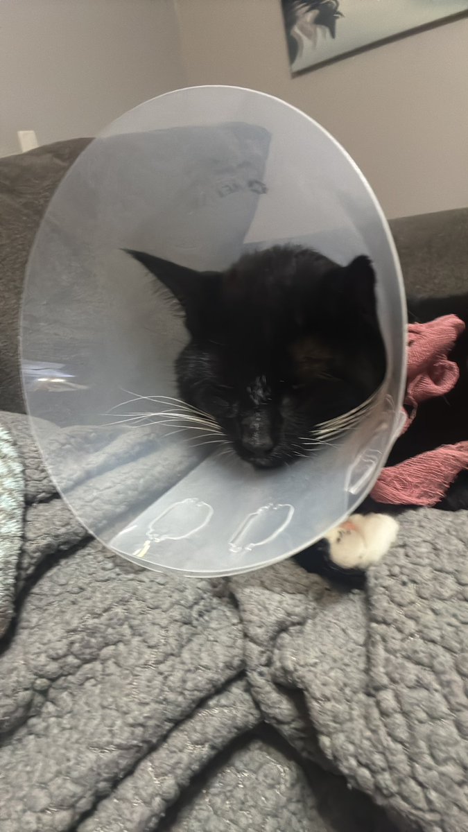 He is not happy