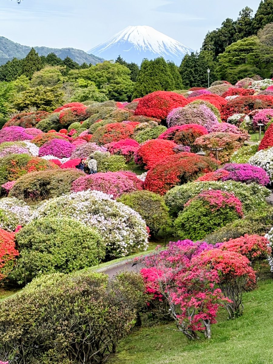 箱根・芦ノ湖 成川美術館 tweet media