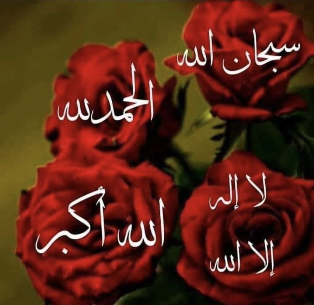 طالبة الغفران tweet media