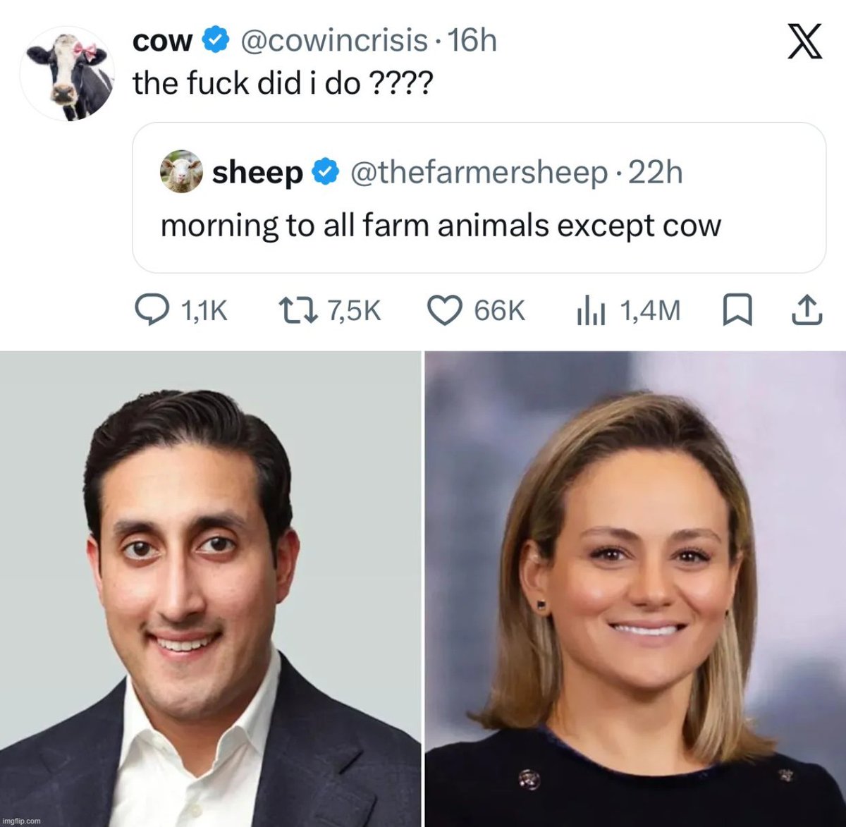 naiive tweet media