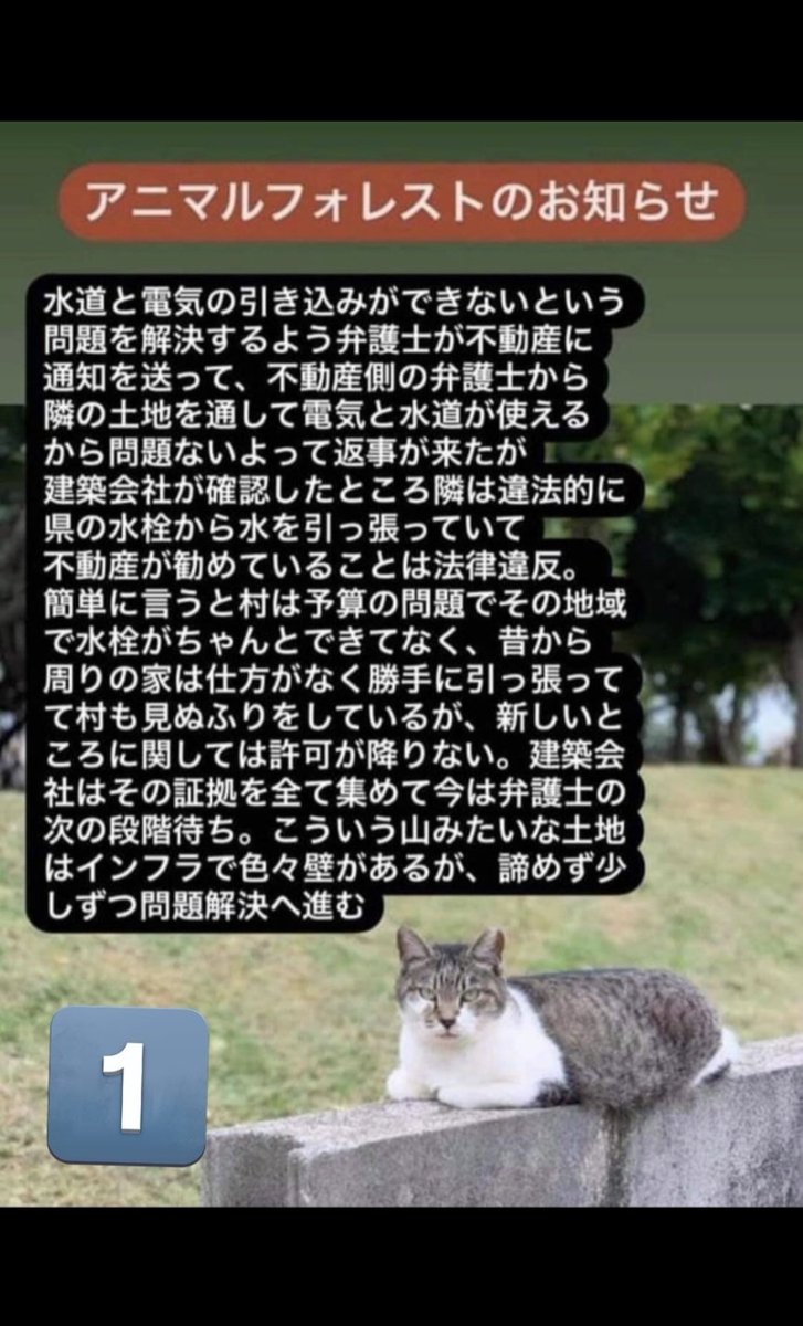 デビさん tweet media