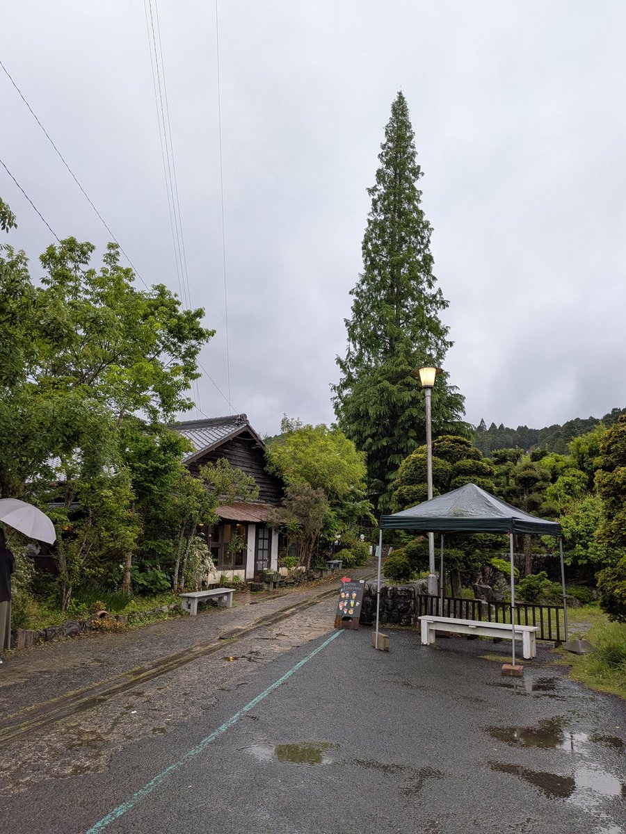 テリー番長 tweet media