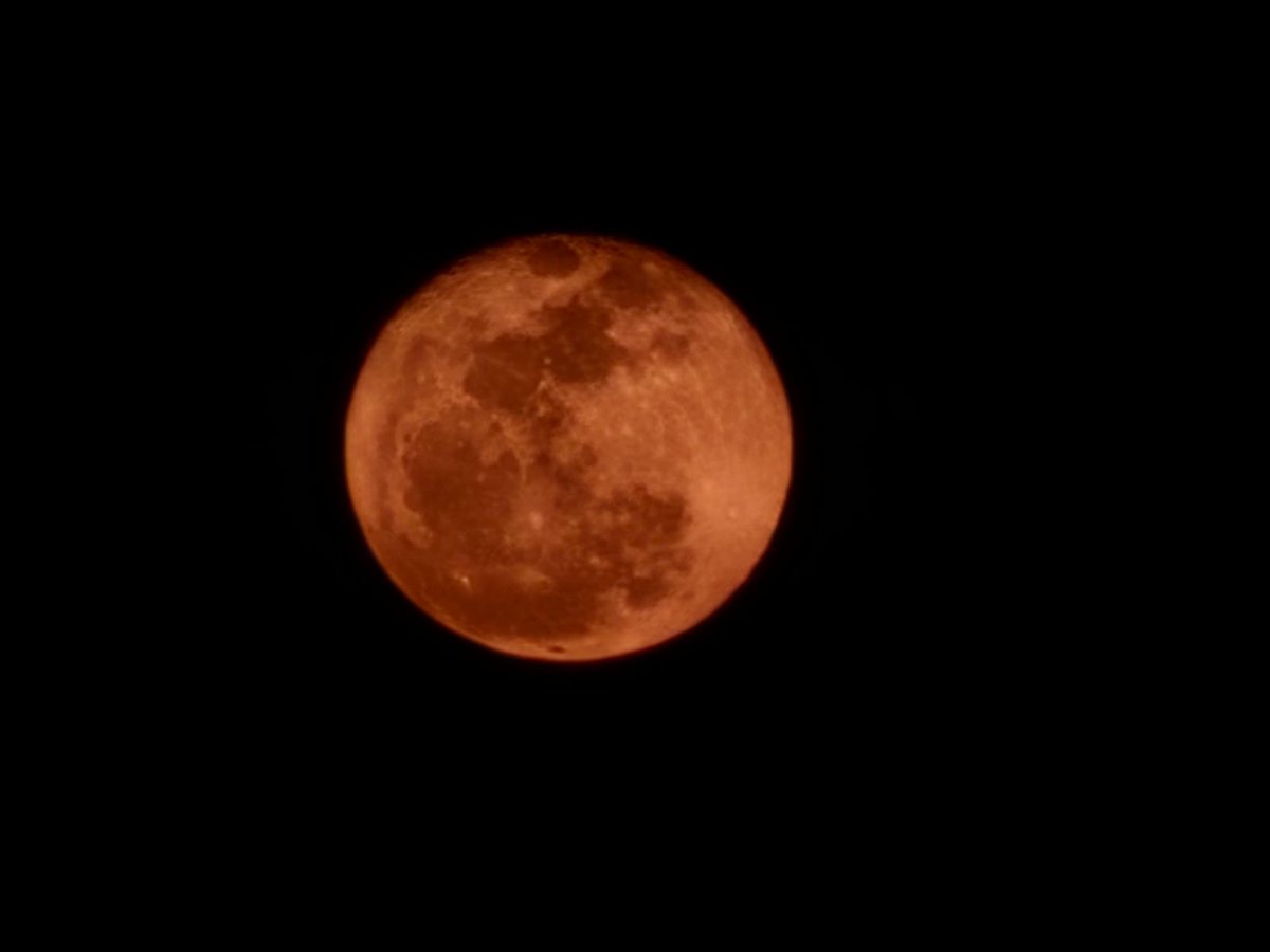 JCarlos_Valerio's tweet image. #Entérate 🌕✨ Así luce la luna llena en la capital poblana. 🌝🤩