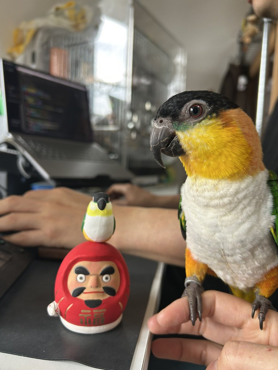 HARAMATSU tweet media