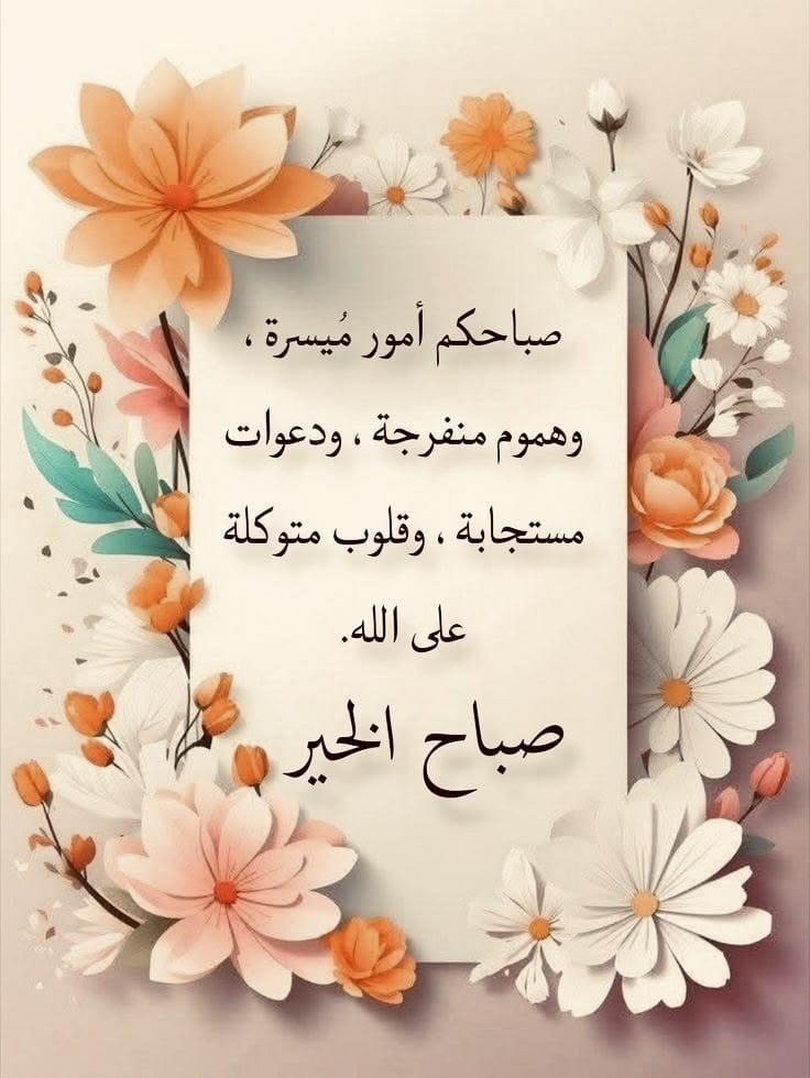mm🪴🩵محمد tweet media