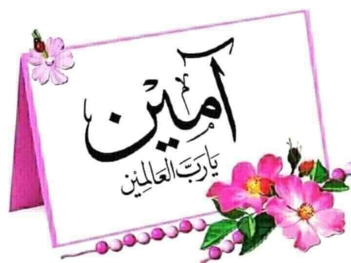 mm🪴🩵محمد tweet media