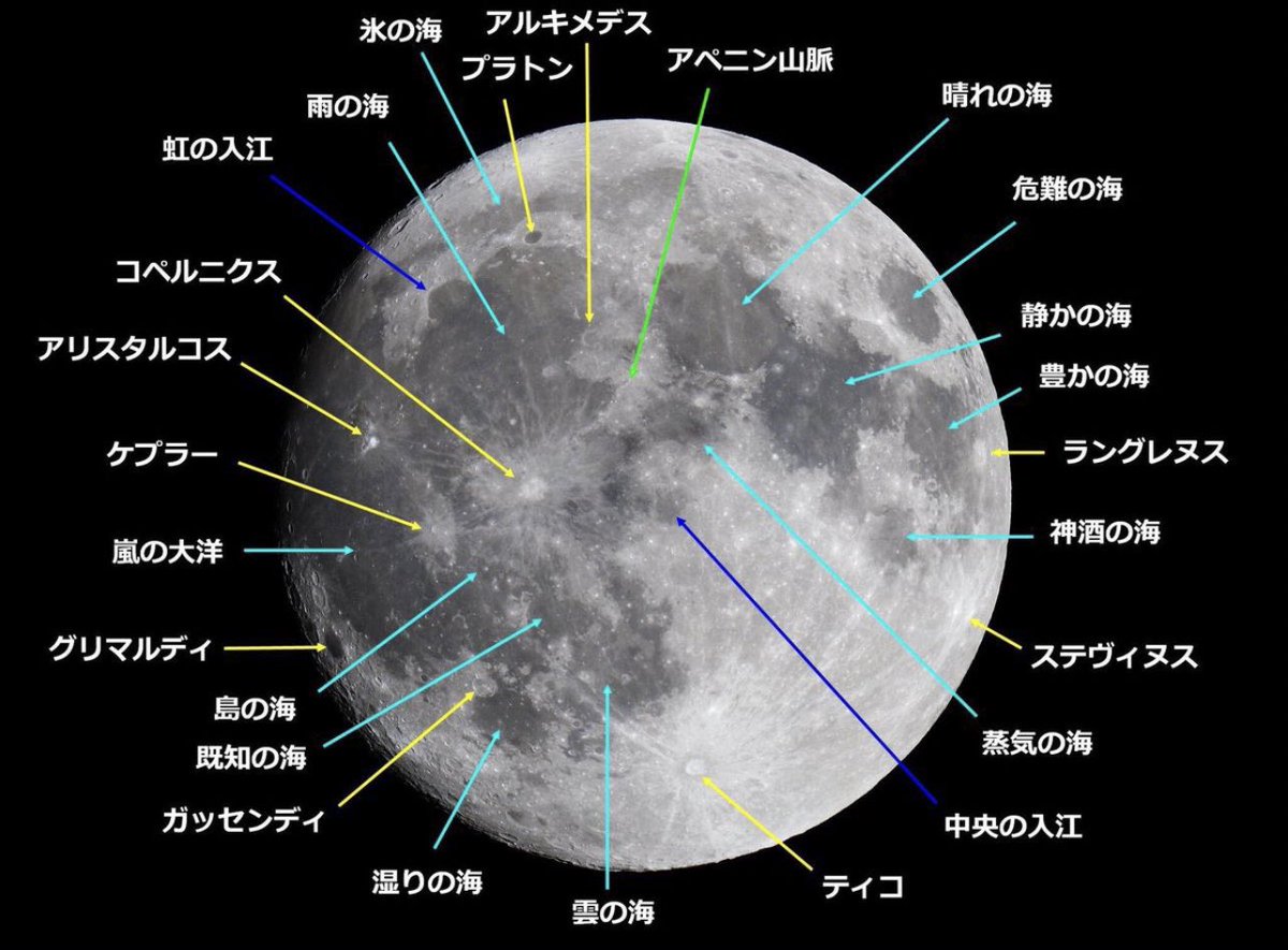 坊主 tweet media