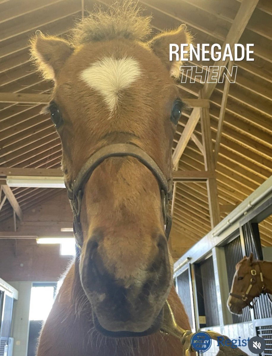 The real reason I pulled for Renegade today was his judgy af baby picture