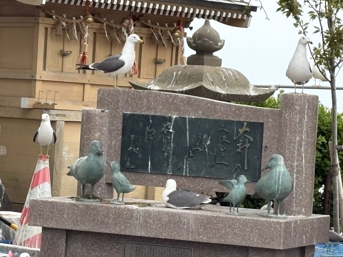 長尾 真紀子 tweet media