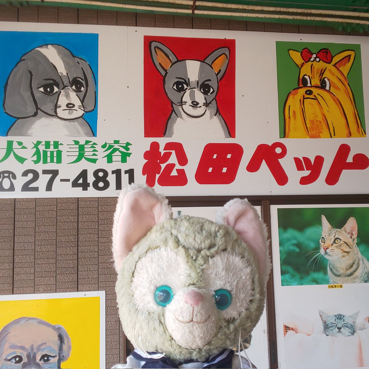 くまたろう tweet media