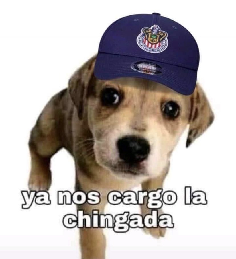 Chivas Shitposting (@chivasshitpost) on Twitter photo 