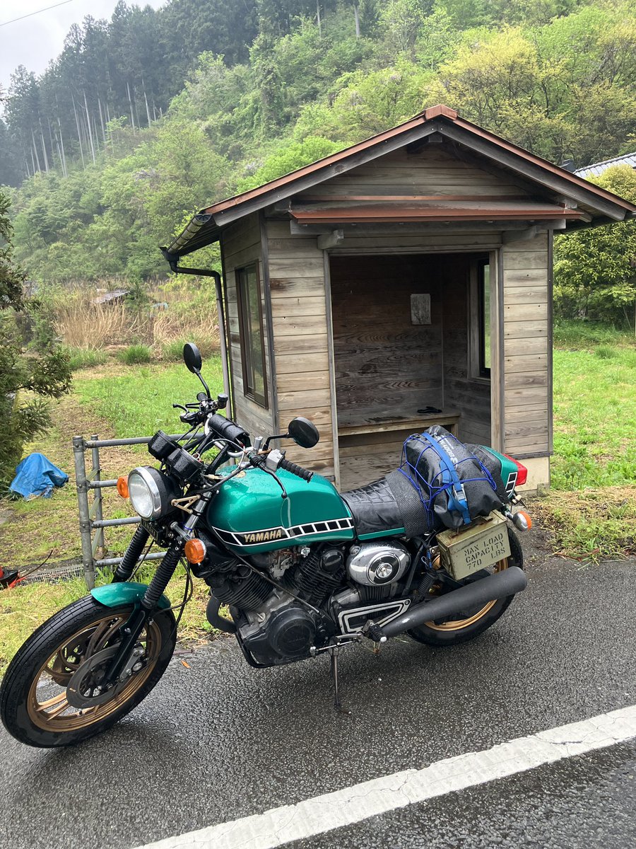 塩鯖苺タルト tweet media