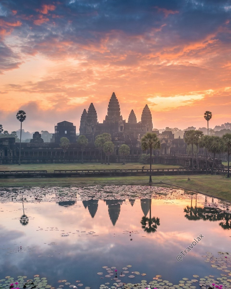 Travolax | Always Traveling tweet media
