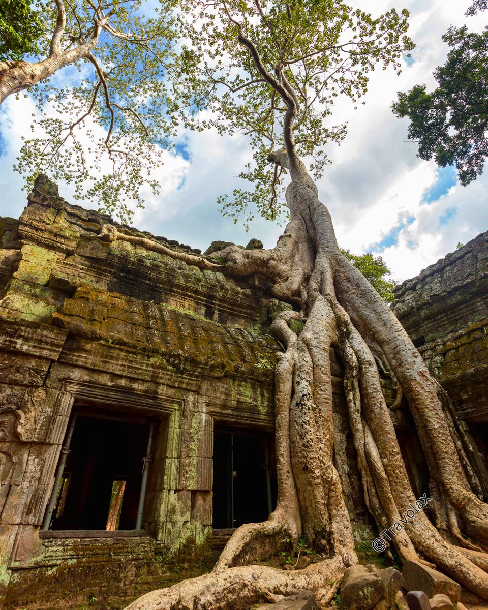 Travolax | Always Traveling tweet media