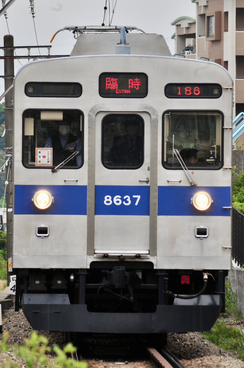 テツリンゴ tweet media