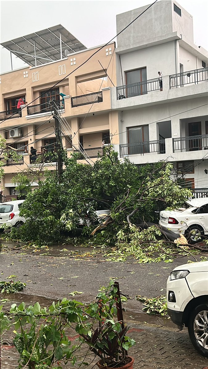 G2Singh3's tweet photo. @PSPCLPb LT bare conductor damaged due to tree fallen in phase 5 mohali opp H no 1923 https://t.co/AFvL47J8vm