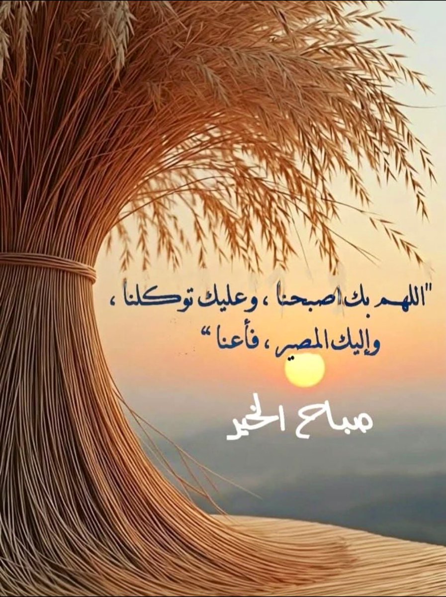الـ گايدهـ 🦌 tweet media