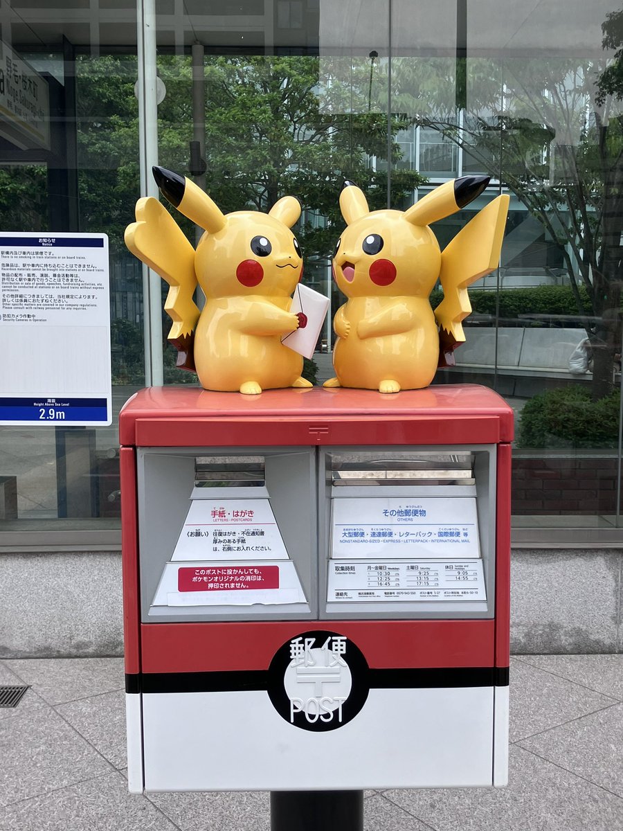 Ferret太郎 tweet media