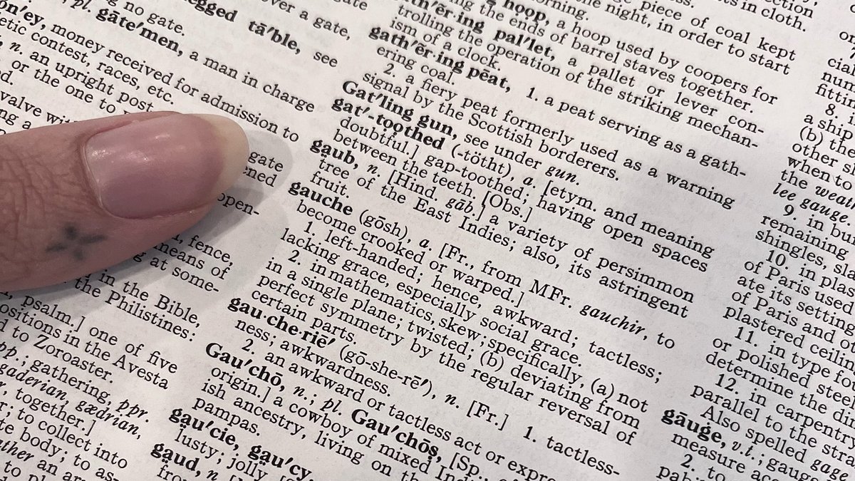 ChloeNiccole's tweet image. just #reading my #dictionary