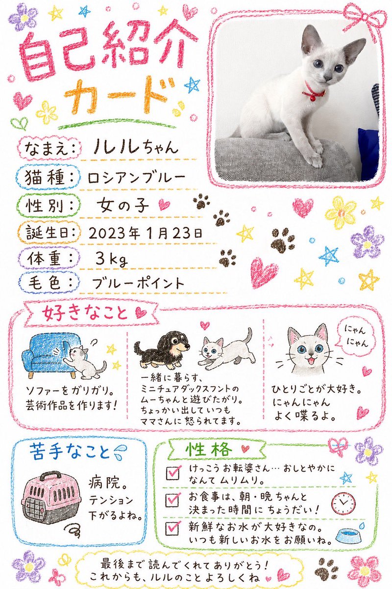 かぷちいぬ@プロフィール必読 色々話題のチャッピーで作ったうちの子達のプロフィール。 なかなか