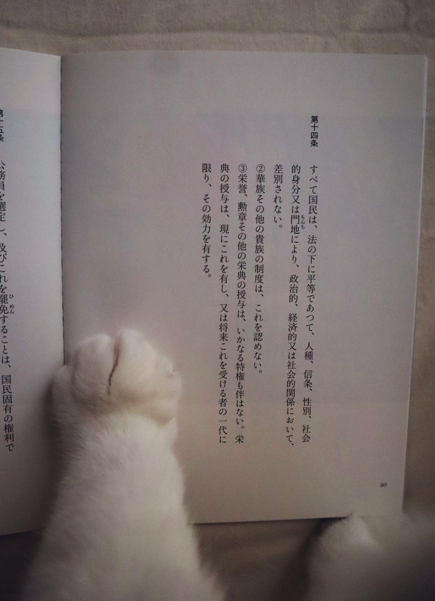 町田尚子 naoko machida tweet media