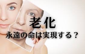 もし“老い”を消せたら、人は死ななくなるのか？

昔から人間は、不老不死を夢見てきた。
仙人、賢者の石、若返りの泉…。でもそれ、いま少しだけ現実に近づいてるかもしれない。