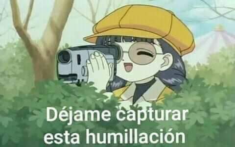 . tweet media