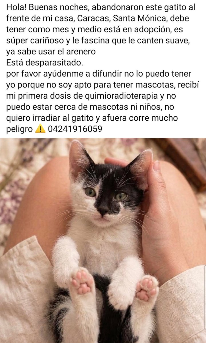 PerroUsuario Wof '•' tweet media