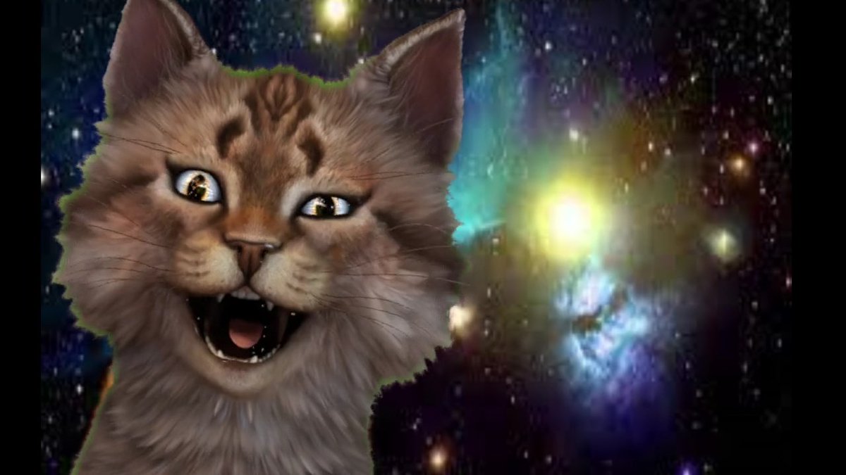 マンキュー🐱宇宙猫 (@spacecatmankyu) on Twitter photo 