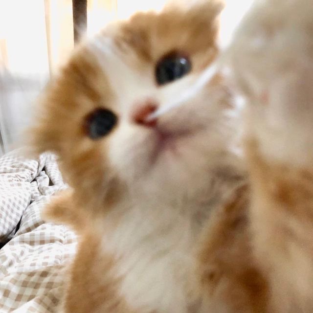 성은 tweet media