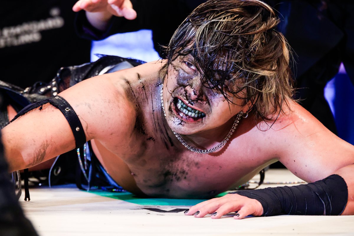宮木和佳子Photographer tweet media
